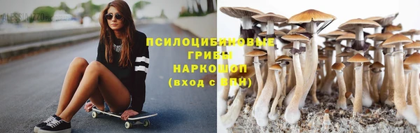 кокс Алзамай