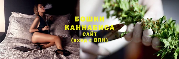 ПСИЛОЦИБИНОВЫЕ ГРИБЫ Алексеевка