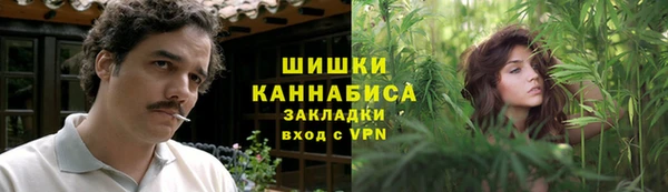 ПСИЛОЦИБИНОВЫЕ ГРИБЫ Алексеевка