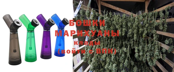 ПСИЛОЦИБИНОВЫЕ ГРИБЫ Алексеевка