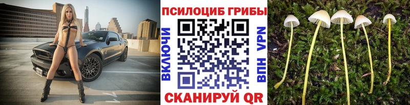 Галлюциногенные грибы ЛСД  купить наркоту  Клин 